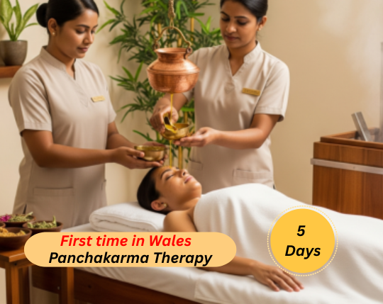 indian spa website (2)