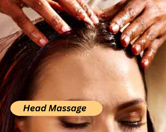 indian spa website (3)