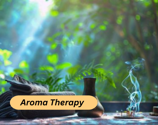 indian spa website (5)