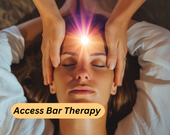 indian spa website (6)